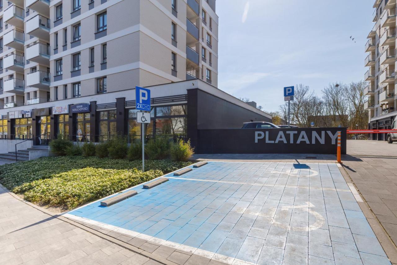 Seaside Platany